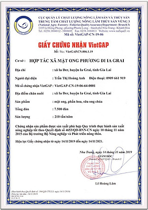 Mật ong Hoa Cà Phê Phương Di (500ml), nguyên chất 100% , đặc sản tây nguyên, sản xuất hoàn toàn tự nhiên, không phụ gia, chất bảo quản
