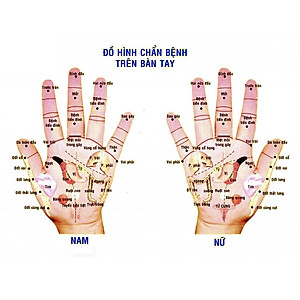 COMBO 2 Cây Cạo Gió (MH874) Day ấn huyệt bằng gỗ thơm - Giúp đả thông kinh mạch và lưu thông khí huyết