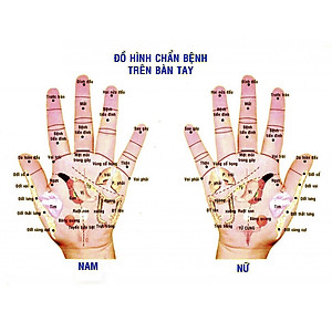 Dụng Cụ day ấn Huyệt Mát xa Chữ nhật Gỗ Bách Xanh (MH855) Cổ, vai, tay, bụng, eo, chân, kiểu thái - Chăm sóc sức khỏe