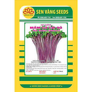 Hạt giống rau mầm củ cải đỏ Italy gói 100g VTS120