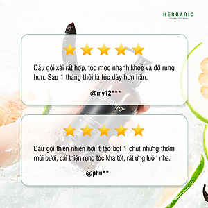 Bộ đôi Dầu Gội vỏ bưởi & bồ kết herbario 300ml + Dầu Xả vỏ bưởi & Bồ Kết Herbario 300ml Giảm rụng tóc, mọc tóc nhanh