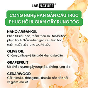 Dầu gội Ngăn rụng tóc Lab Nature Thick Fix - Công Nghệ Hàn Gắn Cấu Trúc Tóc - 450ml