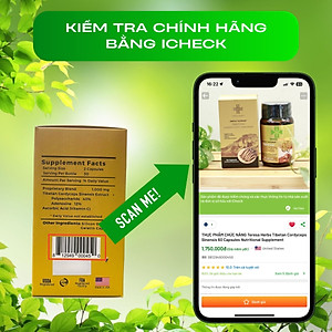 Đông Trùng Hạ Thảo Tây Tạng Teresa Herbs: Bổ Thận, Bổ Phổi, Bổ Tim, Tăng Cường Đề Kháng 60 viên