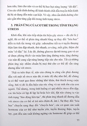 Chế Độ Ăn Bổ Trí Não Giảm Stress