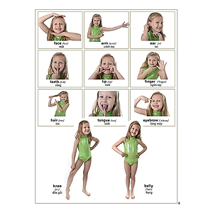 Sách My First 1000 English Words - 1000 Từ Tiếng Anh Đầu Tiên Cho Bé (Bìa Cứng) (Tái Bản)