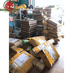 Đèn Live Stream Bán Hàng, Chụp Hình MakeUp Live Stream Trang Điểm