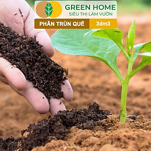 Phân Trùn Quế Bột Greenhome, Bao 3dm3, Nguyên Chất, Bổ Sung Dinh Dưỡng, Cải Tạo Đất