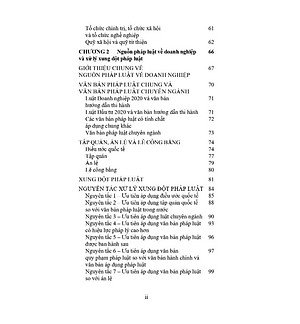 Pháp Luật  Về Doanh Nghiệp Các Vấn Đề Pháp Lý Cơ Bản