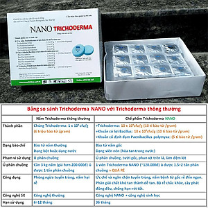 1 viên Phân bón vi sinh NANO-GRO. Chứa hàng tỷ bào tử vi nấm đối kháng trichoderma bacillus