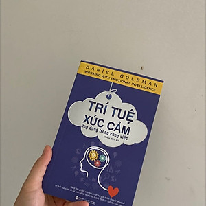 Sách Trí Tuệ Xúc Cảm Ứng Dụng Trong Công Việc (Tái Bản)