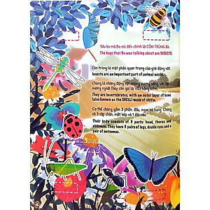 Sách Bộ Song Ngữ 5 Cuốn Ứ Ừ Con Ghét (Việt-Anh) - Tập 5: Hóa Ra Côn Trùng Không Đáng Ghét, Mẹ Nhỉ?