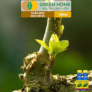 Phân Bón Kích Rễ, Greenhome, B1, Chai 100ml, Tạo Mầm, Rễ Khoẻ, Sai Hoa, Phục Hồi Rễ Yếu, Lá Dày
