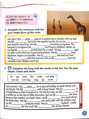 Grammar Goals: Pupil's Book Pack Level 4