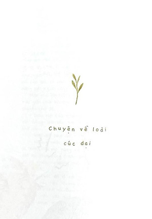 Sách Cúc Dại Và Tia Nắng