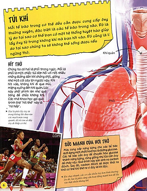 Sách Tìm Hiểu Về: Cơ Thể Người