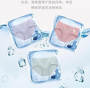 Quần lót nữ su đúc thun lạnh cao cấp, quần lót không đường may hoa cúc Hot trend xuất Nhật