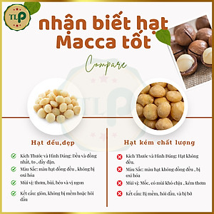 HẠT MACCA NỨT VỎ CAO CẤP TÂN LỘC PHÁT
