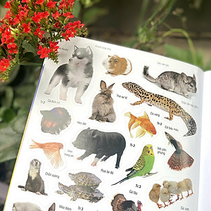 Sách Dán hình nhận biết động vật - Những loài vật dễ thương