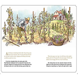 Sách Aesop Bất Hủ 2 - Song Ngữ Anh Việt