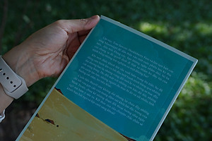 Sách Cuộc Phiêu Lưu Ở Nước Ngoài Của Tom Sawyer