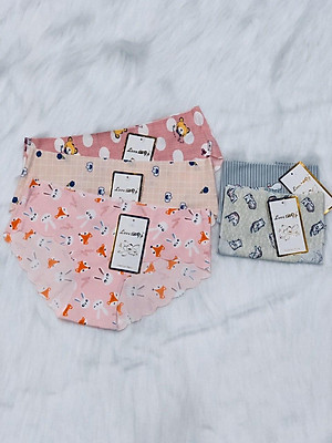 Combo 5 quần lót su hoa thông hơi- GAO 015 ( mẫu ngẩu nhiên)