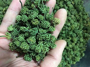 200gr Trà nụ hoa tam thất - Cao Cấp