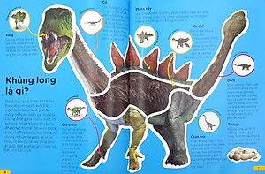 Những Điều Sách Giáo Khoa Không Dạy Bạn: Khủng Long
