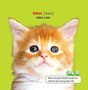 Sách Bé Yêu Đi Mẫu Giáo - Thế Giới Động Vật