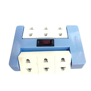 Ổ cắm Xoay 90° Điện Quang ĐQ ESK RT 6GW (6 lỗ, màu xanh lá trắng)