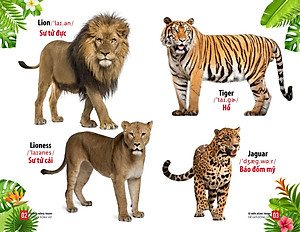 Sách Từ Điển Bằng Tranh - Thế Giới Động Vật