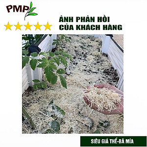 Combo Phân Hữu Cơ Cao Cấp Super Probio & Giá Thể Bã Mía Cho Hoa Hồng, Rau Sạch, Cây Cảnh