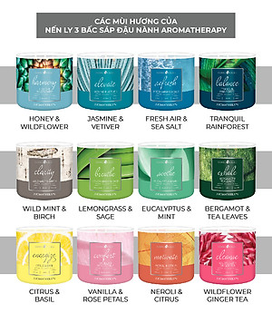 Nến ly 3 bấc Aromatherapy Goose Creek (411g) - Jasmine & Vetiver