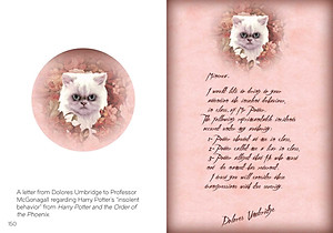 The Art Of Harry Potter: Mini Book Of Graphic Design