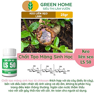 Keo Liền Sẹo LS50 Cho Cây Greenhome, Liền Nhanh Vết Cắt Da Cây, Chiết Cành,  Bonsai, Lan, Kiểng Lá