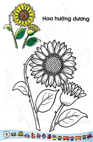 Sách Tập Tô Màu Các Loại Hoa