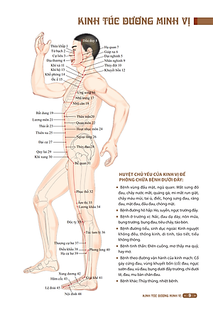 Đồ Giải Kinh Lạc Huyệt Vị Cơ Thể (Tái Bản 2023)
