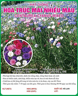 Hạt giống Hoa Trúc Mai nhiều màu VTS187