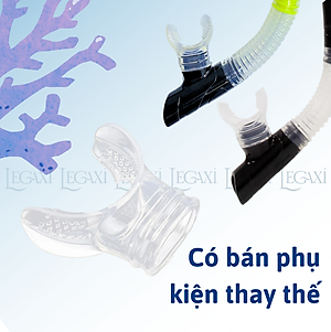 Ống Thở Bơi Lặn Biển Ngắm San Hô Đáy Biển Dã Ngoại Picnic