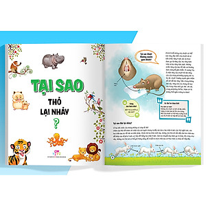 Combo What Why When How? 10 Vạn Câu Hỏi Cho Siêu Nhí
