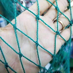 Lưới Làm Giàn Leo Siêu Bền