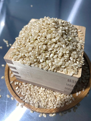 GẠO LỨT MỀM GIỐNG NHẬT MANPUKU MARU - LỨT SILKY - KOME ICHIZOKU