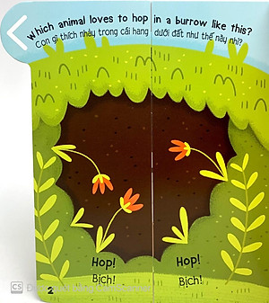 Sách Animals - Các Loài Động Vật