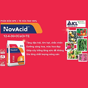 Phân bón hòa tan Israel Novacid 12-40-36+3CaO+Te, Hoà tan 100% sử dụng cho hệ thống tưới nhỏ giọt và tưới phun. Hạn chế rụng trái non, thúc hoa ra màu đẹp và tăng sức đề kháng cho cây trồng