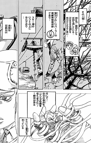 ジョジョリオン 17 (ジャンプコミックス) - JOJORION 17