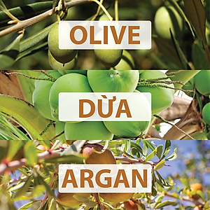 Serum dưỡng mi từ dầu nguyên chất (dừa, olive, argan) hiệu quả sau 3 tuần MILAGANICS 5ml (tuýp)