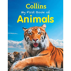 Collins My First Book of Animals (My First) | Tiki Collins My First Book of Animals (My First) | Tiki