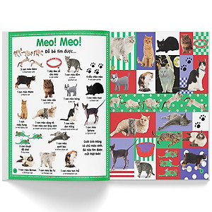 Sách Từ Điển Bằng Hình Cho Trẻ Mầm Non - Trốn Tìm Động Vật (Tái Bản)