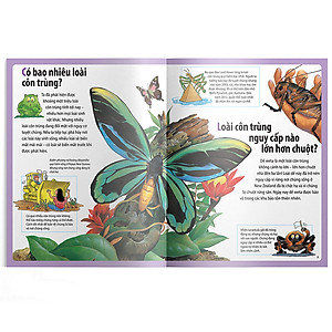 Sách Em Muốn Biết Vì Sao Chim Dodo Tuyệt Chủng Và Những Câu Hỏi Khác Về 
Các Loài Động Vật Nguy Cấp Và Đã Tuyệt Chủng