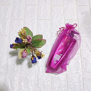 Sữa Tắm Cao Cấp Cho Chó Mèo Showqueen Chai 500ml