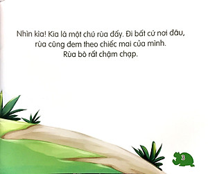 Sách Amazing Animals - Những Loài Vật Đáng Kinh Ngạc! - Rùa - Chậm Mà Chắc